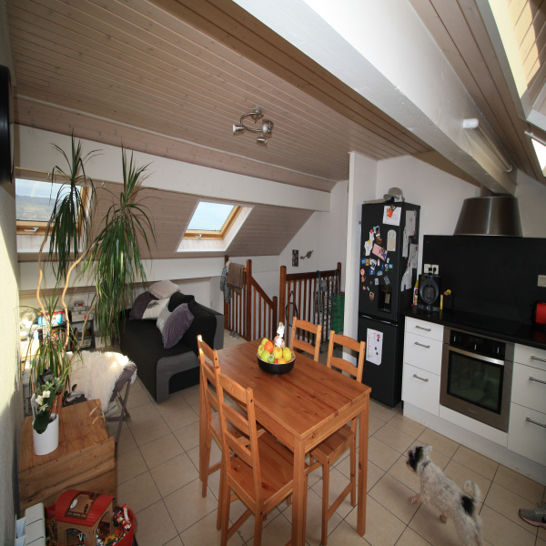Offres de location Duplex Bons-en-Chablais 74890