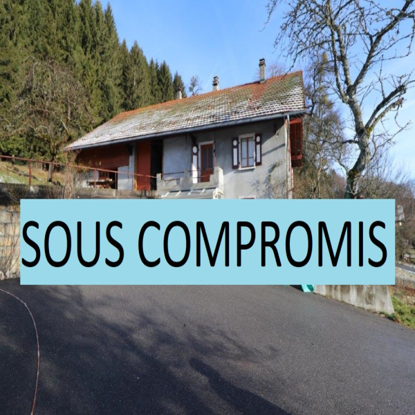 Offres de vente Ferme Burdignin 74420